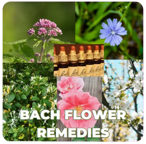 Bach Flower Remedies