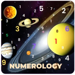 Numerology Reports