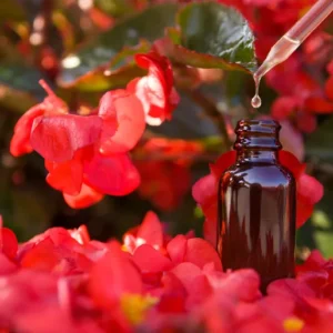 Bach Flower Remedies Course