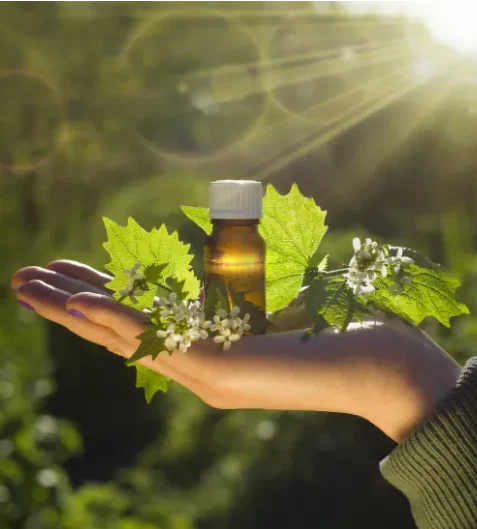 Learn Bach Flower Remedies Online