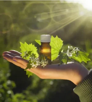 Learn Bach Flower Remedies Online