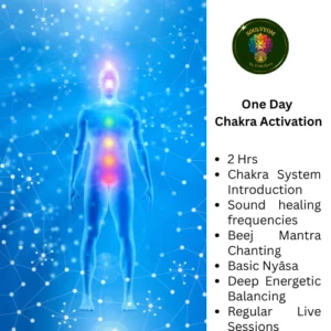 Chakra Activation – 1 Day Experience